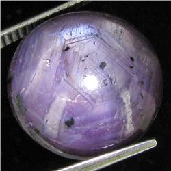 26.50ct Natural Star Ruby Well Patterned  (GEM-32162)