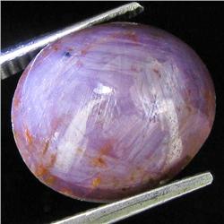15.70ct Natural Star Ruby Well Patterned  (GEM-32099)