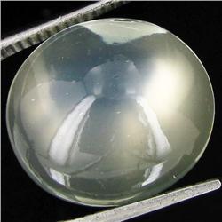 13.80ct Clear Misty Moonstone Cat's Eye Cabochon  (GEM-32039)