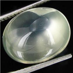 9.35ct Clear Misty Moonstone Cat's Eye Cabochon  (GEM-32048)