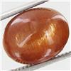 10.40ct Vibrant Sunstone Cat's Eye Cabochon  (GEM-32065)