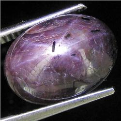 12.85ct Natural Star Ruby Well Patterned  (GEM-32133)