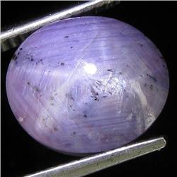 9.10ct Natural Star Ruby Well Patterned  (GEM-32109)