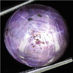 20.30ct Natural Star Ruby Well Patterned  (GEM-32082)