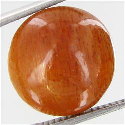 9.75ct Vibrant Sunstone Cat's Eye Cabochon  (GEM-32060)