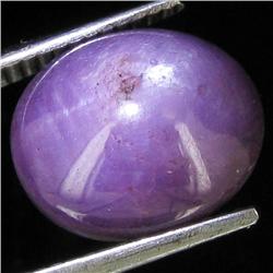 9.55ct Natural Star Ruby Well Patterned  (GEM-32119)