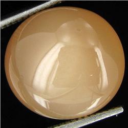 15.30ct Red Moonstone Cat's Eye Cabochon (GEM-32076)