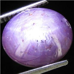 8.30ct Natural Star Ruby Well Patterned  (GEM-32106)