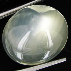 16.50ct Clear Misty Moonstone Cat's Eye Cabochon  (GEM-32041)