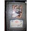 Image 1 : JOE NAMATH HAND SIGNED BROADWAY JOES STOCK CERTIFICATE , CUSTOM FRAMED