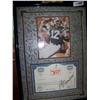 Image 1 : Broadway Joe's Signed Stock Certificate by Joe Namath.