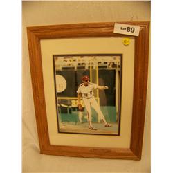 Steve Carlton hand signed photograph  framed