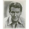 Image 1 : Burgess Meredith