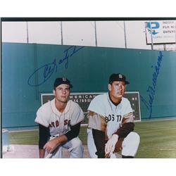 Ted Williams and Carl Yastrzemski