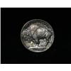 Image 2 : 1913-p TY I Buffalo Nickel 5c Grades Select Uncirculated ms63