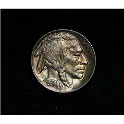 1938-d/d Rare variety Buffalo Nickel 5c Grades Gem Uncirculated ms65++ PQ