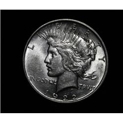 1922-d Peace Dollar Grades Select Uncirculated ms63