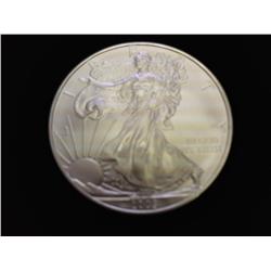 2009 AMERICAN SILVER EAGLE (UNC)