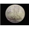Image 1 : 2009 AMERICAN SILVER EAGLE (UNC)
