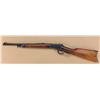 Image 1 : Winchester model 43 lever-action rifle in  .218 Bee caliber, serial #384580. Barrel  shortened to 18
