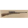 Image 2 : Winchester Pre-64 model 70 bolt-action rifle,  .30-06 caliber, serial #76924. The rifle  shows a Pac
