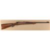 Image 1 : Winchester Pre-65 model 70 rifle in .243 Win  caliber, serial #363952. The rifle remains in  very go