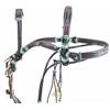 Image 1 : Very fancy hand woven horsehair bridal and  reins with bit. The bridal shows diamonds  with multi-co