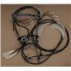 Image 3 : Very fancy hand woven horsehair bridal and  reins with bit. The bridal shows diamonds  with multi-co