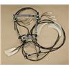Image 4 : Very fancy hand woven horsehair bridal and  reins with bit. The bridal shows diamonds  with multi-co