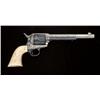 Image 4 : Colt Single Action Army revolver, 7-1/2”  barrel, .45 caliber, blue and nickel  serial  #38544. The 