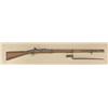 Image 1 : 1862-dated British rifled musket, brass  mounted, with English associated earlier  socket bayonet an