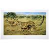 Image 1 : Lot of 10 prints consisting of: A) "African  Children" by David Shepherd. Image size  approx. 31"w x