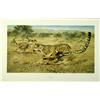 Image 2 : Lot of 10 prints consisting of: A) International Wildlife Foundation 1981  original lithograph "The 