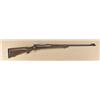 Image 1 : Winchester Pre-64 model 70 rifle, .300 magnum  caliber, serial #38723. In very good plus  original c