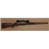 Image 1 : Winchester model 88 action custom rifle by  Rouge River Rifleworks, Paso Robles, CA. .243  caliber, 