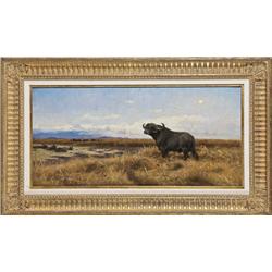 Original oil painting on board entitled Cape  Buffalo, by Wilhelm Kuhnert, circa approx  1912, appro