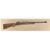 Image 1 : Winchester Pre-64 model 70 bolt-action rifle,  .270 caliber, serial #32960. Rifle remains  in fine t
