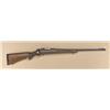Image 1 : Winchester model 70 rifle, .30-06 caliber,  serial #75501. Standard configuration, front  and rear s