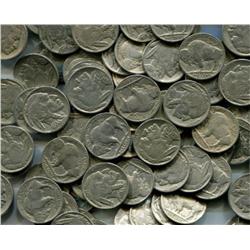 Lot of 50 Buffalo Nickels