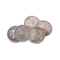 Lot of 5 Fine Grade Morgans- Assorted