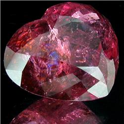 53ct Fuscia Pk Rubellite Tourmaline Apprsd $59k (GEM-27291)