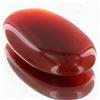 Image 1 : 16.60ct Natural Multi-Color Hi-Grade Onyx Cabochon (GEM-31820)