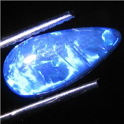 1.48ct Australian Black Opal Doublet Full Fire (GEM-31429)