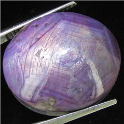 40.80ct Natural Star Ruby Well Patterned  (GEM-32144)