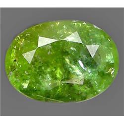 1.64ct Oval Cut Bi - Color Paraiba Tourmaline (GEM-9175)