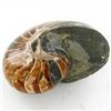 Image 2 : 3510ct Whole Crystalized Ammonite (MIN-000032)