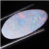 1.18ct Australian Black Opal Doublet Full Fire (GEM-31501)