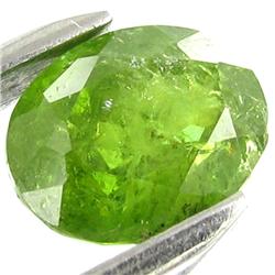 4.15ct Demantoid Garnet Appraised $19k (GEM-26696)
