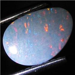 0.64ct Australian Black Opal Doublet Full Fire (GEM-31459)