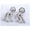 Image 1 : 18k White Gold Dangling Earrings with Diamonds